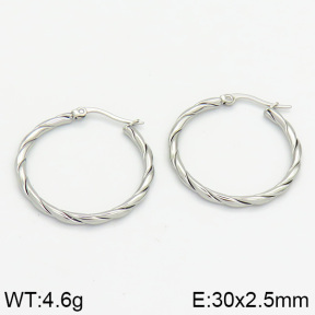Stainless Steel Earrings  2E2000608bhia-706