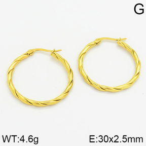 Stainless Steel Earrings  2E2000609ahjb-706