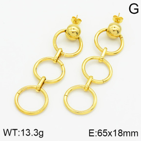 Stainless Steel Earrings  2E2000613ablb-436