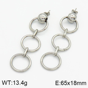 Stainless Steel Earrings  2E2000614baka-436
