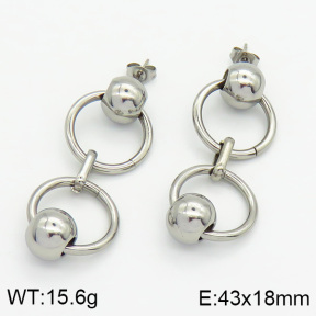 Stainless Steel Earrings  2E2000618ablb-436