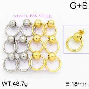 Stainless Steel Earrings  2E2000619vhol-436