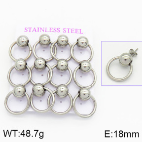 Stainless Steel Earrings  2E2000620vhnv-436