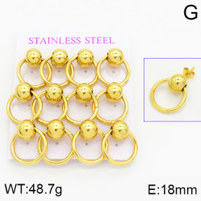 Stainless Steel Earrings  2E2000621aivb-436