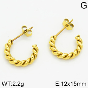 Stainless Steel Earrings  2E2000624ablb-259