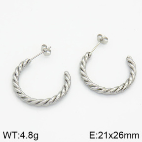 Stainless Steel Earrings  2E2000628vbnb-259