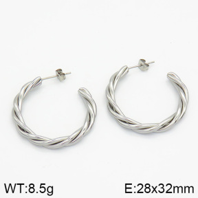 Stainless Steel Earrings  2E2000630vbnb-259