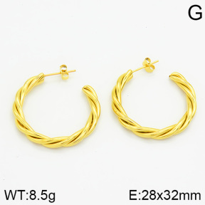 Stainless Steel Earrings  2E2000631vbpb-259