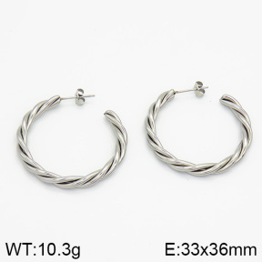 Stainless Steel Earrings  2E2000632vbnb-259