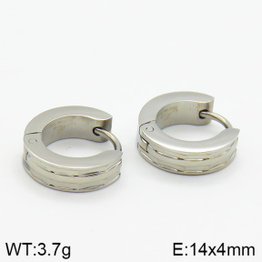 Stainless Steel Earrings  2E2000634ablb-259