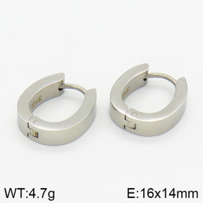 Stainless Steel Earrings  2E2000641bbov-259