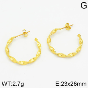 Stainless Steel Earrings  2E2000646ablb-259