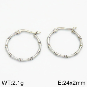 Stainless Steel Earrings  2E2000648vbmb-259