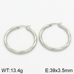 Stainless Steel Earrings  2E2000650vbnb-259