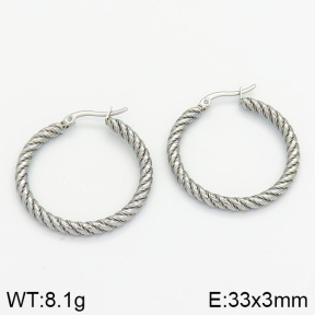 Stainless Steel Earrings  2E2000653vbnb-259
