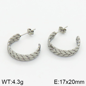 Stainless Steel Earrings  2E2000655vbnb-259
