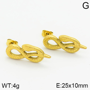 Stainless Steel Earrings  2E2000658vhha-656
