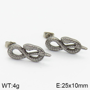 Stainless Steel Earrings  2E2000659bhva-656