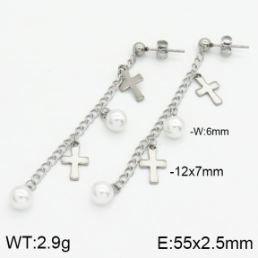 Stainless Steel Earrings  2E3000492vbll-436