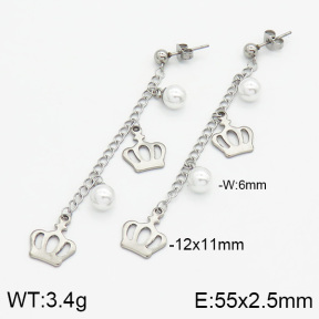 Stainless Steel Earrings  2E3000494vbll-436
