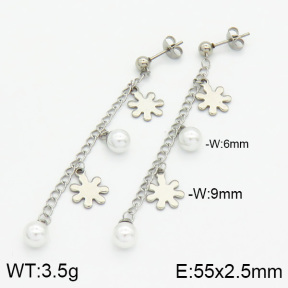 Stainless Steel Earrings  2E3000504vbll-436