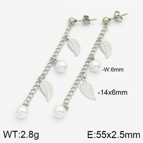 Stainless Steel Earrings  2E3000508vbll-436