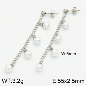 Stainless Steel Earrings  2E3000510vbll-436