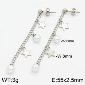 Stainless Steel Earrings  2E3000512vbll-436