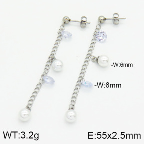 Stainless Steel Earrings  2E3000520vbll-436