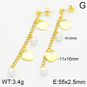 Stainless Steel Earrings  2E3000523vbmb-436