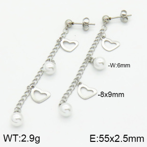 Stainless Steel Earrings  2E3000528vbll-436