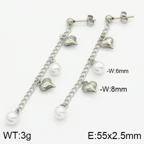 Stainless Steel Earrings  2E3000532vbll-436