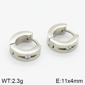 Stainless Steel Earrings  2E4000824vbmb-259