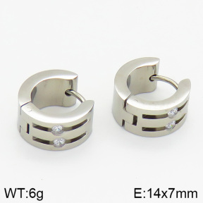 Stainless Steel Earrings  2E4000825vbnb-259