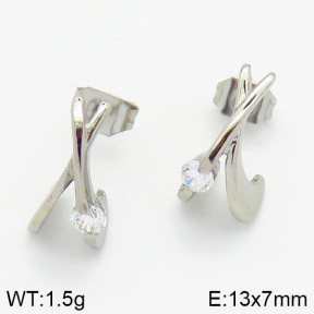 Stainless Steel Earrings  2E4000829bhva-259