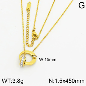 Stainless Steel Necklace  2N4000350vbpb-617