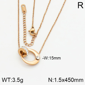 Stainless Steel Necklace  2N4000351vbpb-617