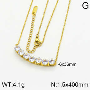 Stainless Steel Necklace  2N4000356vbpb-617