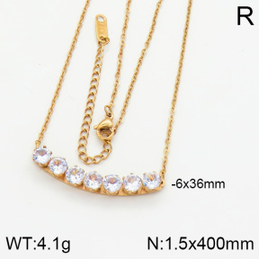 Stainless Steel Necklace  2N4000357vbpb-617