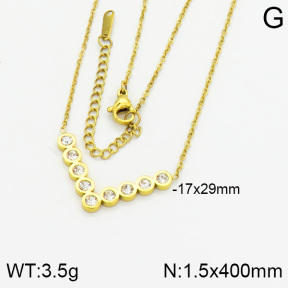 Stainless Steel Necklace  2N4000359vbpb-617