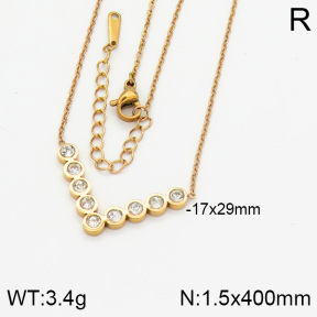 Stainless Steel Necklace  2N4000360vbpb-617