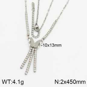 Stainless Steel Necklace  2N4000370bhva-617