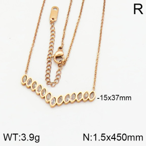 Stainless Steel Necklace  2N4000402bbov-617
