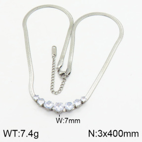 Stainless Steel Necklace  2N4000406vbpb-617