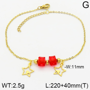 Stainless Steel Anklets  2A9000362ablb-610