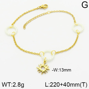 Stainless Steel Anklets  2A9000378vbmb-610