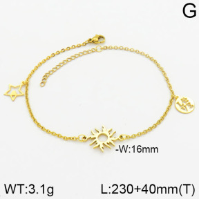 Stainless Steel Anklets  2A9000382ablb-610