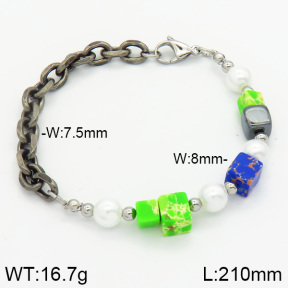 Stainless Steel Bracelet  2B3000512vhha-232