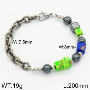 Stainless Steel Bracelet  2B4000791vhha-232