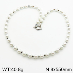 Stainless Steel Necklace  2N3000425aivb-232